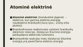 Elektros energijos gamyba 3 puslapis