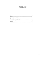 Malcolm Gladwell „Mirksnis“ teorijos 2 puslapis