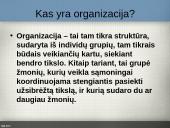 Organizacijų aplinka 2 puslapis