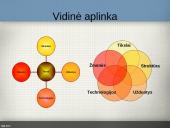 Organizacijų aplinka 11 puslapis