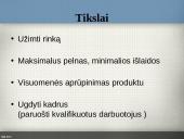 Organizacijų aplinka 12 puslapis