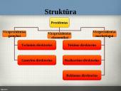 Organizacijų aplinka 15 puslapis