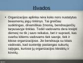 Organizacijų aplinka 17 puslapis