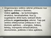 Organizacijų aplinka 3 puslapis