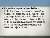 Organizacijų aplinka 4 puslapis