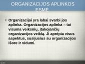 Organizacijų aplinka 6 puslapis