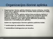 Organizacijų aplinka 7 puslapis
