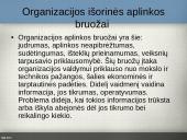 Organizacijų aplinka 8 puslapis