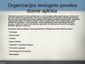 Organizacijų aplinka 9 puslapis