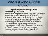 Organizacijų aplinka 10 puslapis