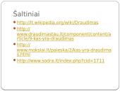 Draudimas skaidrės 11 puslapis