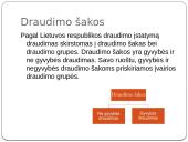 Draudimas skaidrės 5 puslapis