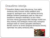 Draudimas skaidrės 10 puslapis