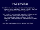 Kintamumas, paveldimumas 3 puslapis