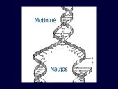 Kintamumas, paveldimumas 9 puslapis