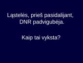 Kintamumas, paveldimumas 10 puslapis