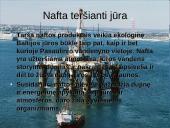 Baltijos jūros užterštumas 3 puslapis