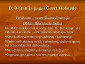 Didžioji Britanija skaidrės 9 puslapis