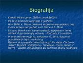 Kamilis Pisaro 2 puslapis