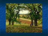 Kamilis Pisaro 12 puslapis