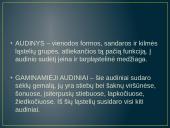 Aukštesniųjų augalų audiniai  2 puslapis