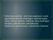 Aukštesniųjų augalų audiniai  9 puslapis