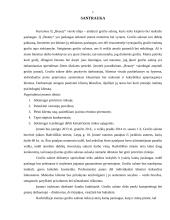 IĮ „Beauty“ verslo planas 2 puslapis