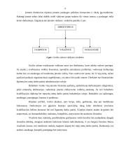 IĮ „Beauty“ verslo planas 5 puslapis