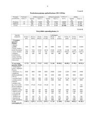 IĮ „Beauty“ verslo planas 7 puslapis