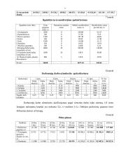 IĮ „Beauty“ verslo planas 8 puslapis