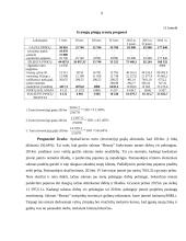 IĮ „Beauty“ verslo planas 10 puslapis