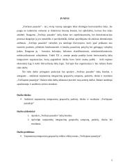 Tarptautinės integracinės grupuotės „Trečiajame pasaulyje“: paskirtis, tikslai, rezultatai 3 puslapis