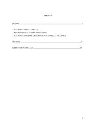 Nacionalizmo įtaka modernių valstybių atsiradimui 2 puslapis