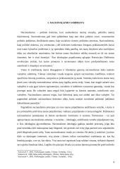 Nacionalizmo įtaka modernių valstybių atsiradimui 4 puslapis