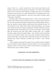 Nacionalizmo įtaka modernių valstybių atsiradimui 5 puslapis