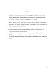 Nacionalizmo įtaka modernių valstybių atsiradimui 8 puslapis