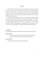 Europos kaimynystės politikos efektyvumą ribojantys geopolitiniai veiksniai 3 puslapis