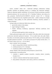 Įmonės ,,Gydažolė“ eksporto plėtros galimybės 2 puslapis