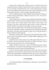 Įmonės ,,Gydažolė“ eksporto plėtros galimybės 12 puslapis