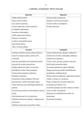 Įmonės ,,Gydažolė“ eksporto plėtros galimybės 14 puslapis