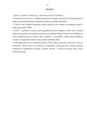 Įmonės ,,Gydažolė“ eksporto plėtros galimybės 18 puslapis