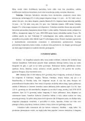 Įmonės ,,Gydažolė“ eksporto plėtros galimybės 10 puslapis