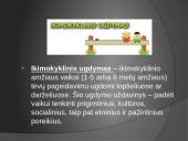 Lietuvos švietimo sistemos samprata. Švietimo lygmenys 12 puslapis