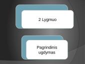 Lietuvos švietimo sistemos samprata. Švietimo lygmenys 17 puslapis