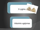 Lietuvos švietimo sistemos samprata. Švietimo lygmenys 19 puslapis