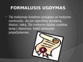 Lietuvos švietimo sistemos samprata. Švietimo lygmenys 7 puslapis