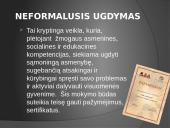 Lietuvos švietimo sistemos samprata. Švietimo lygmenys 8 puslapis