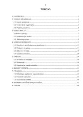 Individualios įmonės „Alsona“ verslo planas 2 puslapis