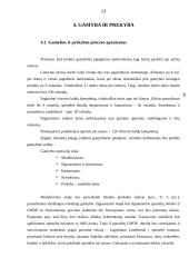 Individualios įmonės „Alsona“ verslo planas 13 puslapis