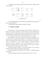 Individualios įmonės „Alsona“ verslo planas 14 puslapis